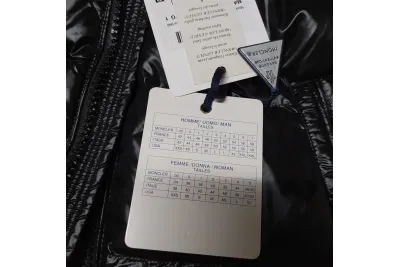 Moncler montbeliard puffer Down jacket 02