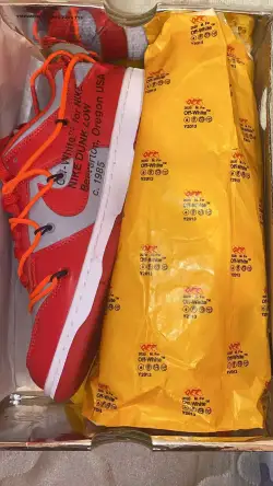 PKGoden  |  Dunk Low Off-White University Red, CT0856-600 review Ditzel