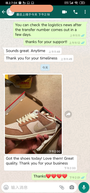 official chan sneakers | review of dunk sb