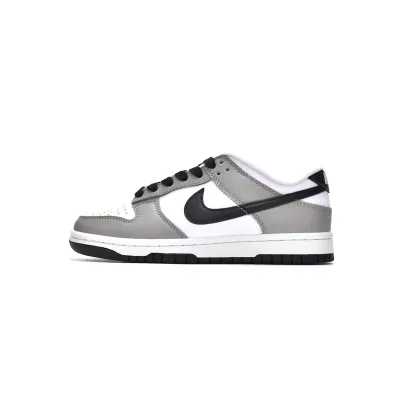 Nike Dunk Low Light Smoke Grey DD1503-117