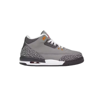 Jordan 3 Retro Cool Grey (2021) 398614-012