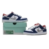 Nike SB Dunk Low I shod Wair BMW 839685-416
