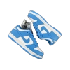 Nike Dunk Low UNC(2021) DD1391-102