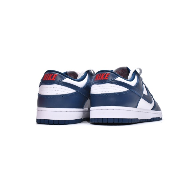 Nike Dunk Low Valerian Blue DD1391-400