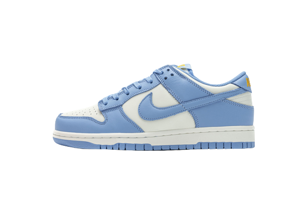 Nike Dunk Low Coast DD1503-100