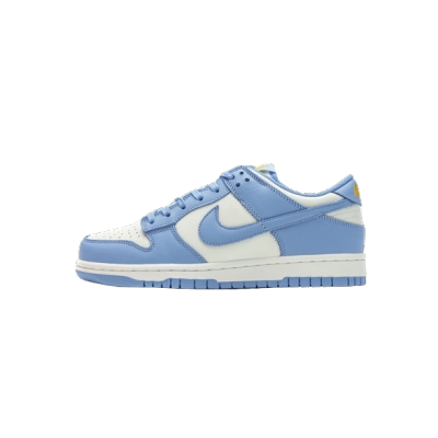 Nike Dunk Low Coast DD1503-100