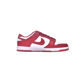 Nike Dunk Low USC DD1391-602