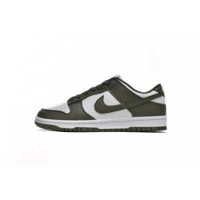Nike Dunk Low Medium Olive DD1503-120
