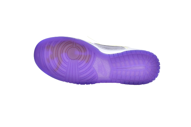 Nike Dunk Low Union Passport Pack Court Purple DJ9649-500