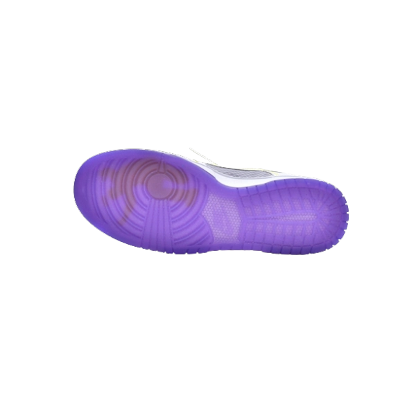 Nike Dunk Low Union Passport Pack Court Purple DJ9649-500