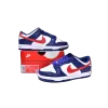 Nike Dunk Low USA DD1503-119