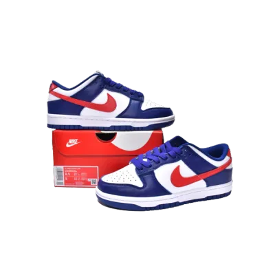 Nike Dunk Low USA DD1503-119