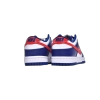 Nike Dunk Low USA DD1503-119