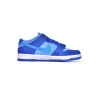 Nike SB Dunk Low Blue Rasp berry DM0807-400