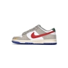 Nike Dunk Low Light Iron Ore Red Blue DV3497-001