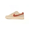 Nike Dunk Low Terry Swoosh DZ4706-200