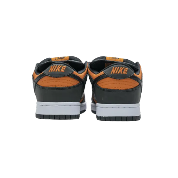 Nike SB Dunk Low Orange Flash 304292-801
