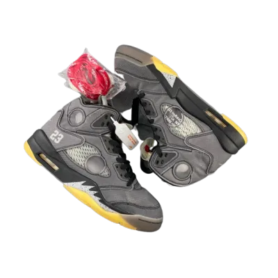 Jordan 5 Retro Off-White Muslin CT8480-001