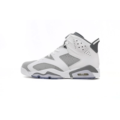 Jordan 6 Retro Cool Grey  384665-100