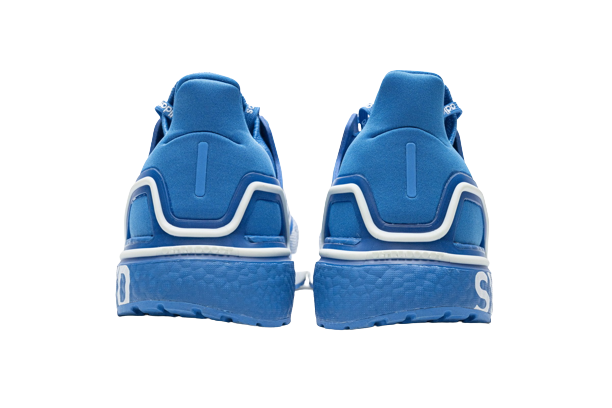 adidas Ultra Boost 20 City Pack Sydney FX7814