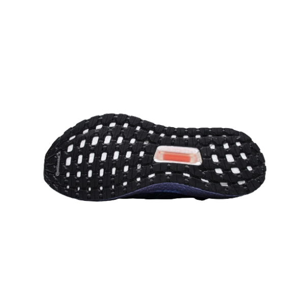 Adidas Ultra Boost 2020 ISS US National Lab Tech Indigo FV8450