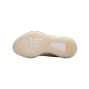 Adidas Yeezy Boost 350 V2 Antlia (Non-Reflective) FV3250