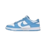 Nike Dunk Low UNC(2021) DD1391-102