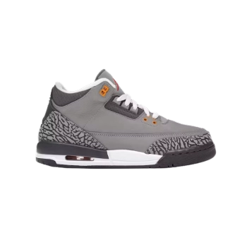 Jordan 3 Retro Cool Grey (2021) 398614-012
