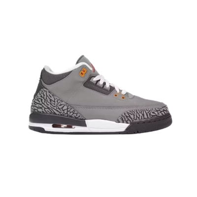Jordan 3 Retro Cool Grey (2021) 398614-012