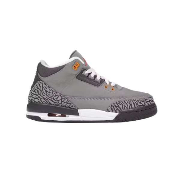 Jordan 3 Retro Cool Grey (2021) 398614-012