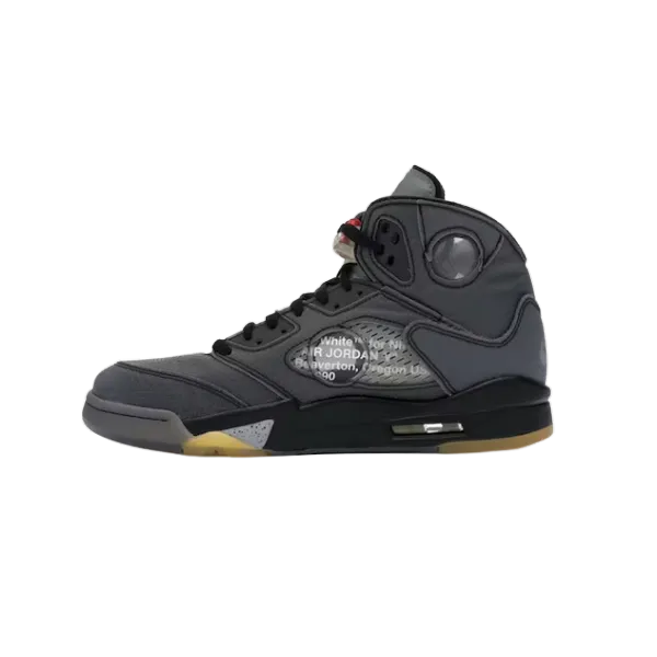 Jordan 5 Retro Off-White Muslin CT8480-001