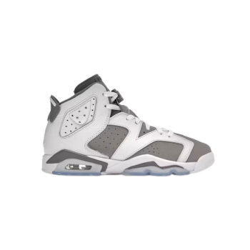 Jordan 6 Retro Cool Grey  384665-100