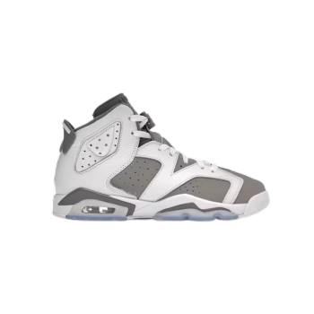 Jordan 6 Retro Cool Grey  384665-100