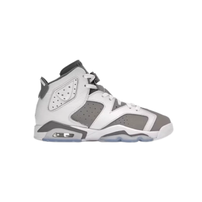 Jordan 6 Retro Cool Grey  384665-100