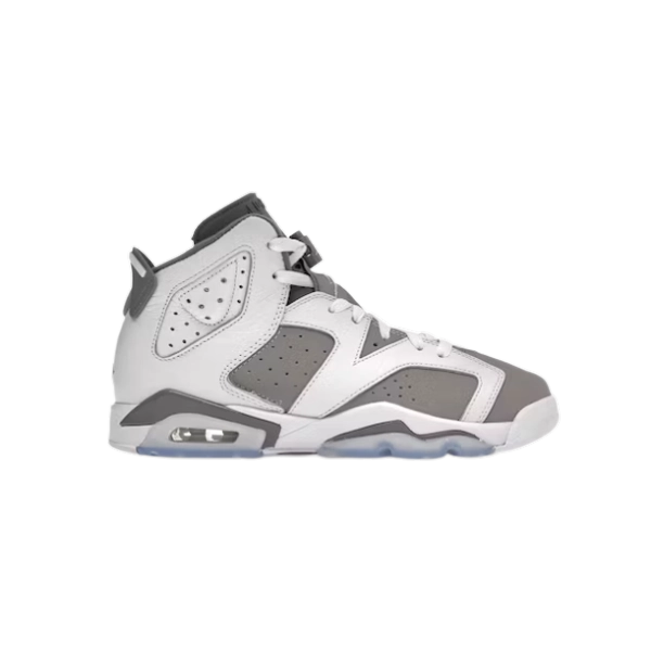 Jordan 6 Retro Cool Grey  384665-100
