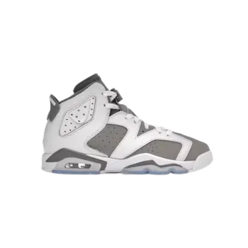 Jordan 6 Retro Cool Grey  384665-100