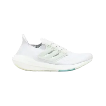 Adidas Ultra Boost 21 Parley Non-Dyed FZ1927