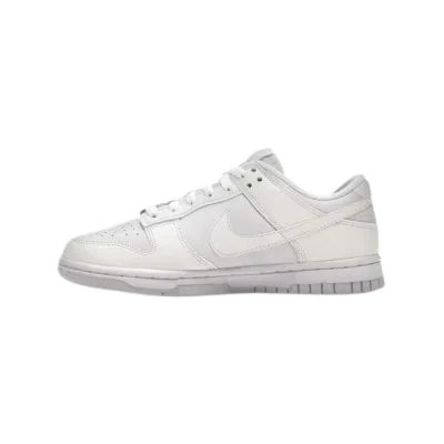 Nike Dunk Low Next Nature Sail DD1873-101