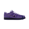 Nike SB Dunk Low Concepts Purple Lobster BV1310555