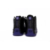 Jordan 12 Retro Field Purple CT8013-057 