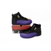 Jordan 12 Retro Field Purple CT8013-057 