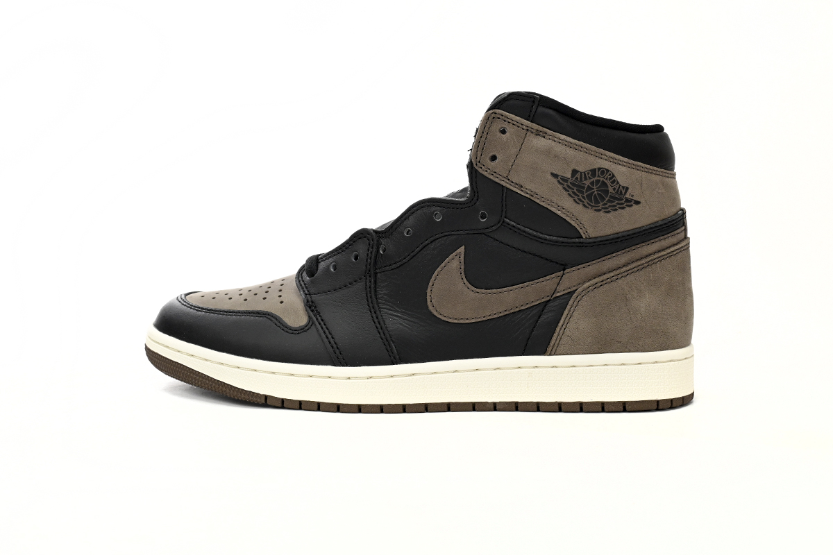 Jordan 1 Retro High OG Palomino DZ5485-020