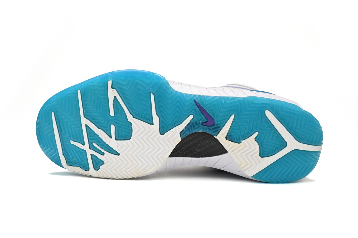 Nike Kobe 4 Protro Draft Day Hornets AV6339-100