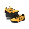 Nike Kobe 9 EM Low Bruce Lee 646701-700