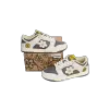 Nike SB Dunk WTP MOSS Beige Gray WTPS 1063-32-024 (LC Batch)