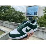 PKGoden Dunk Low Michigan State DD1391-101