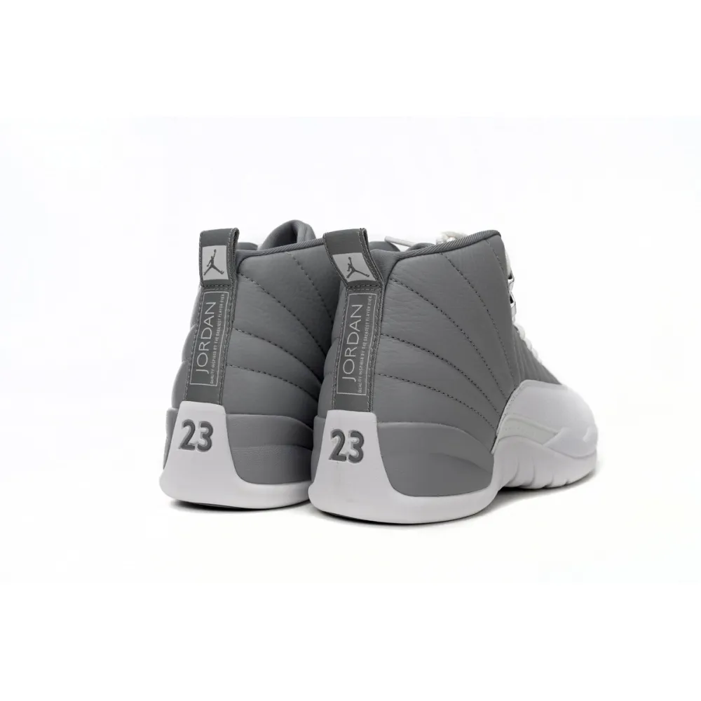 PKGoden Jordan 12 Retro Stealth CT8013-015