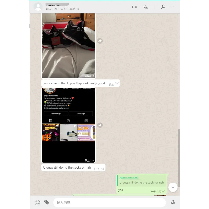 PKGoden Jordan 4 Retro Bred (2019) 308497-060