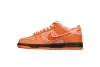 PKGoden SB Dunk Low Concepts Orange Lobster FD8776-800