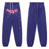 Sp5der Pants 8151